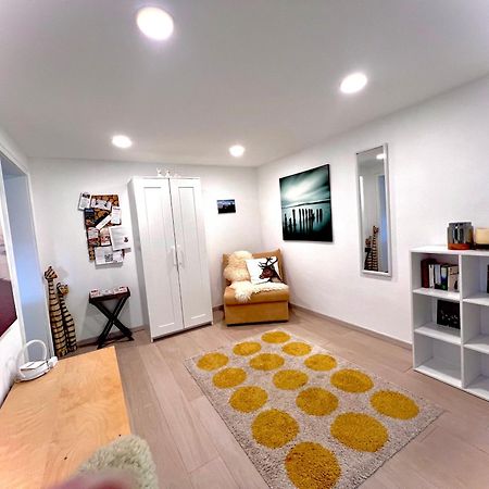 Schwarzwald Boutique-Apartment Haus Rehgarten ガッゲナウ エクステリア 写真