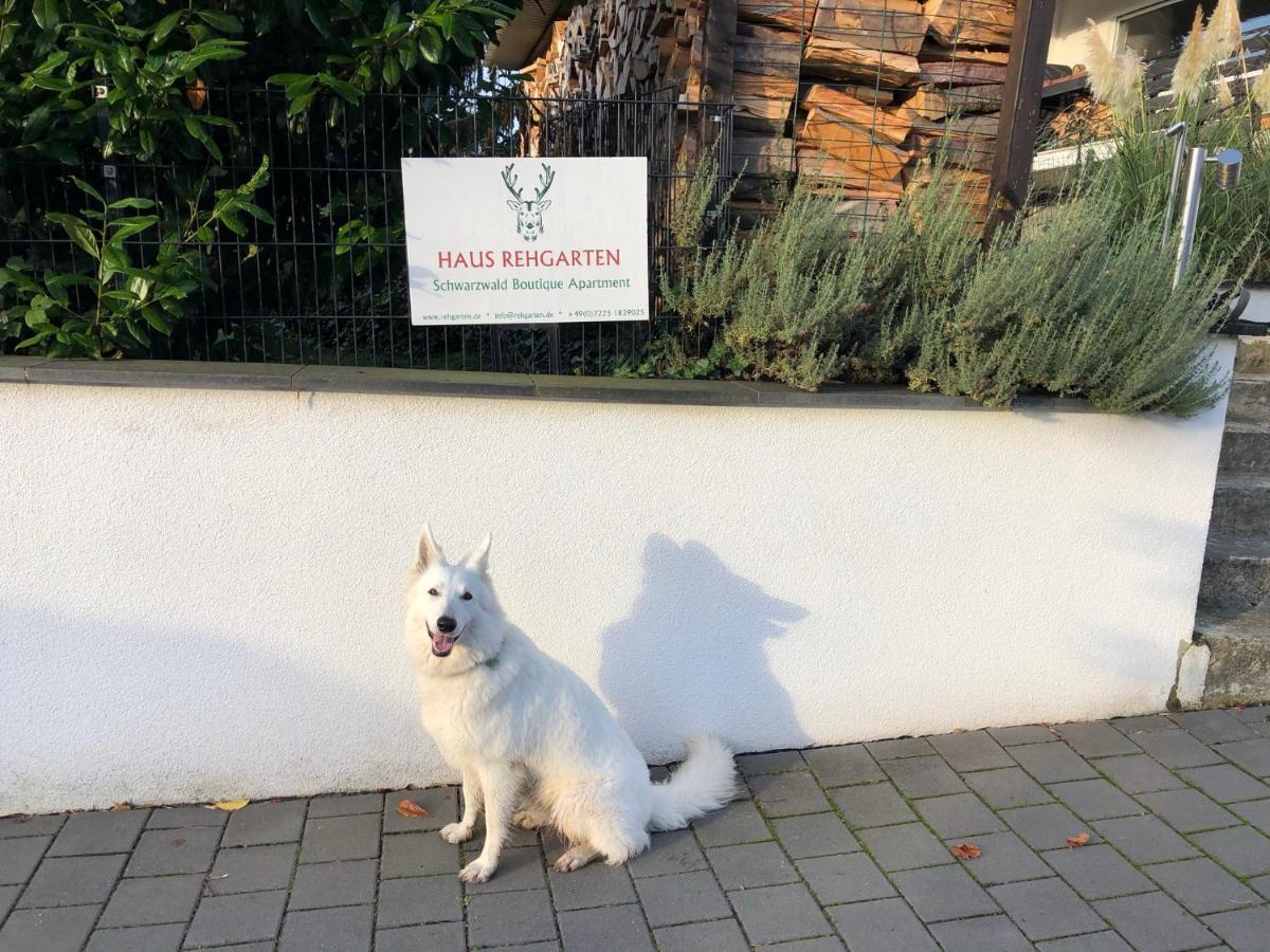 Schwarzwald Boutique-Apartment Haus Rehgarten ガッゲナウ エクステリア 写真