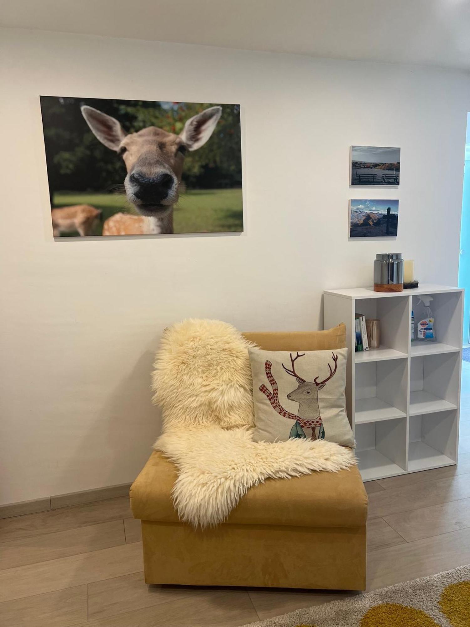 Schwarzwald Boutique-Apartment Haus Rehgarten ガッゲナウ エクステリア 写真